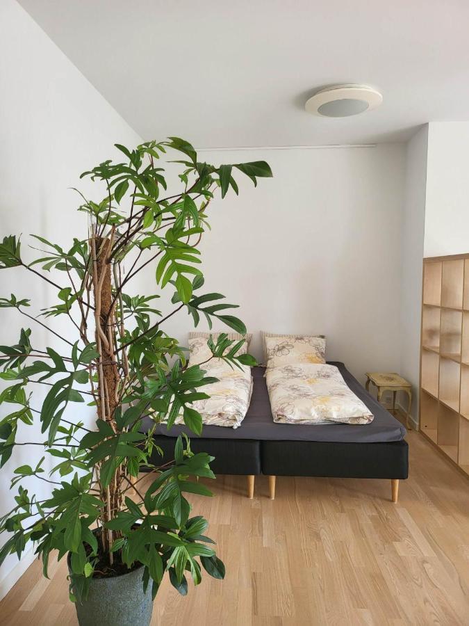 Apartment Straight-up Fantastic Bright Apartment! *